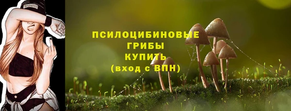 круглые Алексин